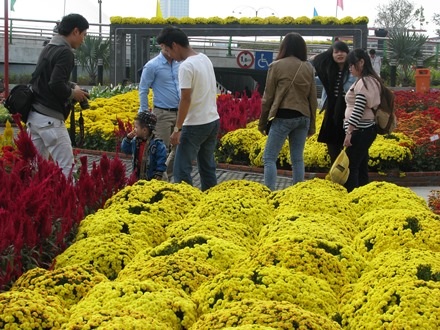 Tết đến sớm đối với nhiều người dân Đà Nẵng