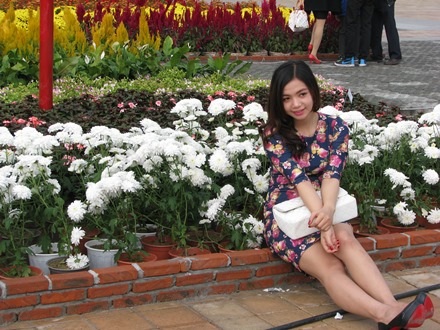 Bên những chậu cúc trắng