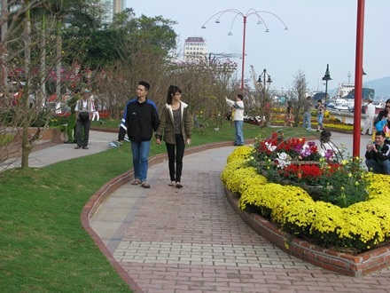 Đôi bạn trẻ rảo bước trên đường hoa