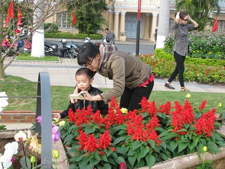 Em bé được má cho xem lại những tấm hình đã chụp