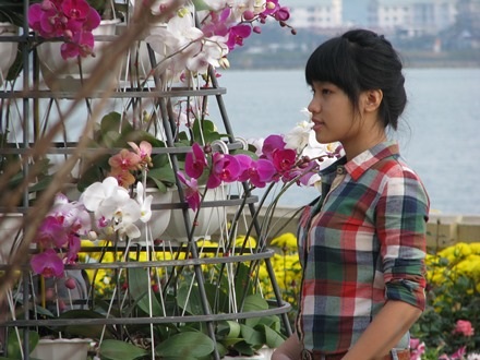 Những cô gái xinh tươi trong nắng xuân