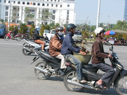 Xuân đang đến với mọi nhà