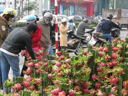 Nhiều người qua đường thấy lạ nên ghé vào xem và tỏ ra rất thích thú