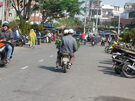 Hai người đàn ông này chọn được hai chậu thược dược về chưng Tết