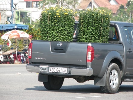 Cúc pha lê được đưa lên xe chuyển về nhà