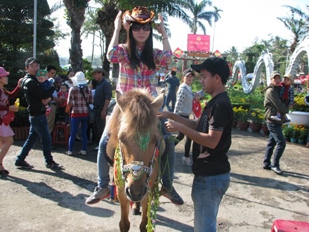 Và các bạn trẻ