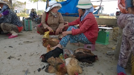 Sợ dịch cúm, người dân tẩy chay thịt gia cầm