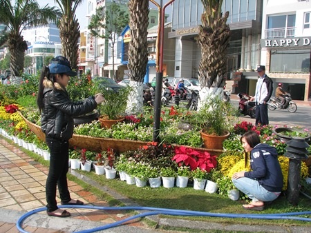 Đường hoa Đà Nẵng năm 2014