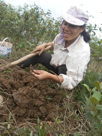 Mừng quá, bắt được con sâm rồi