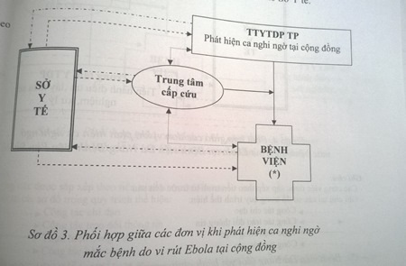 Sơ đồ phối hợp giữa các đơn vị khi phát hiện ca nghi ngờ mắc bệnh Eboal tại cộng đồng