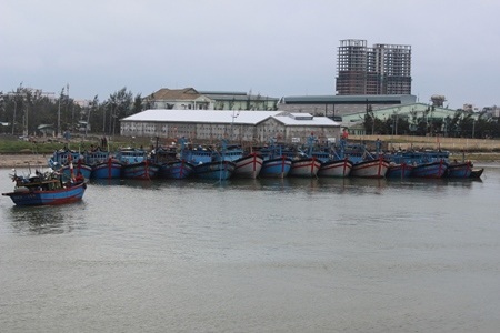 Tàu cá của ngư dân đang neo đậu