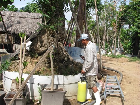 Cây khoa đang bơm thuốc cho một cây cảnh độc 