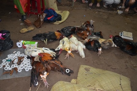 Tang vật cơ quan công an thu giữ