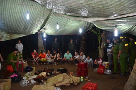 
Các đối tượng chong đèn vào ban đêm để đá gà ăn tiền
