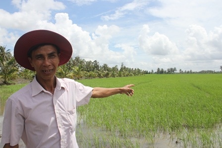 Lão nông người Khmer trở thành tỷ phú nhờ cây lúa - 1