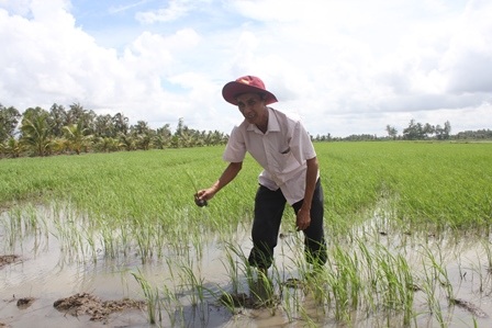 Có tiền tỷ trong tay, ông Chane vẫn cần cù ra đồng làm việc