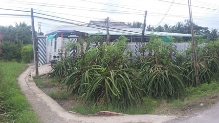 Căn nhà nơi xảy ra vụ việc