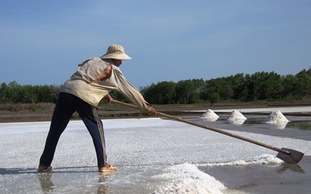 Cuộc sống diêm dân gặp nhiều khó khăn do giá muối thấp