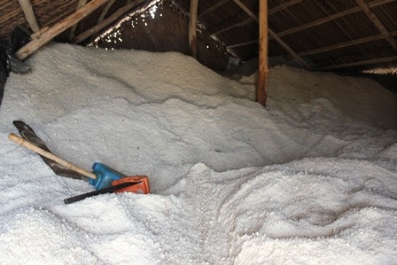 Giá muối thấp, tiêu thụ khó khăn nên còn tồn rất lớn