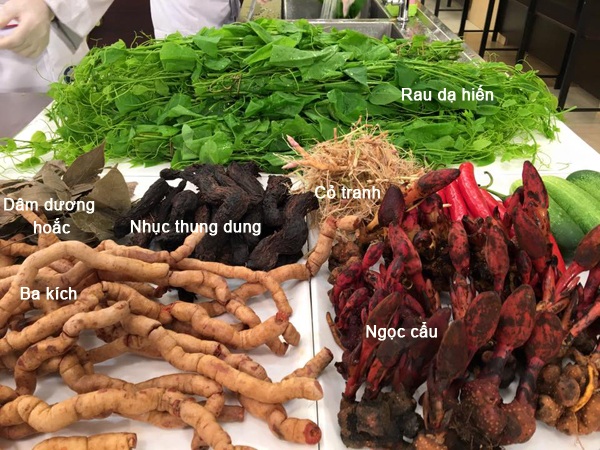 Mỹ vị rẻo cao sánh vai cùng đặc sản đồng bằng sông Hồng - 3 Để làm nên thực đơn ấn tượng, các đầu bếp đội 80 đã dày công sưu tầm những nguyên liệu và gia vị độc đáo: ba kích, nhục thung dung, ngọc cẩu, rau dạ hiến và dâm dương hoắc…