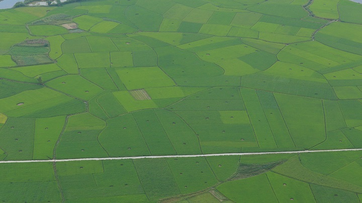 
Nhìn từ trên cao, thung lũng lúa chín Bắc Sơn thu trọn trong tầm mắt, đem lại một cảm giác bình yên trái ngược hẳn với không khí xô bồ, huyên náo của chốn thành thị…

