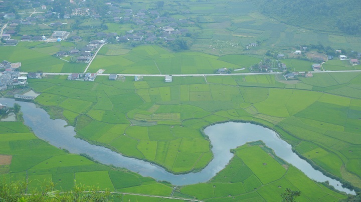 Thời điểm cuối tháng 7 và đầu tháng 8 là vụ mùa lúa chín, tuy nhiên ở Bắc sơn lúa được trồng làm nhiều vụ và đan xen nhau nên tới Bắc Sơn thời điểm hiện tại vẫn thấy những ruộng lúa chín vàng xen lẫn ruộng cấy mới. Chính điều này đã tạo nên những mảng đan xen kỳ thú trong bức tranh Bắc Sơn mùa lúa.