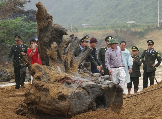 Gốc cây gỗ sưa do ông Thời phát hiện ra ở lòng suối