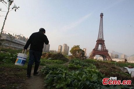 Một người nông dân đi tưới rau gần công trình nhái Tháp Eiffel ở ngoại ô Hàng Châu.