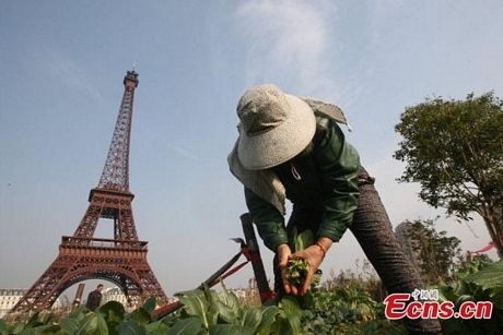 Một người nông dân đi tưới rau gần công trình nhái Tháp Eiffel ở ngoại ô Hàng Châu.