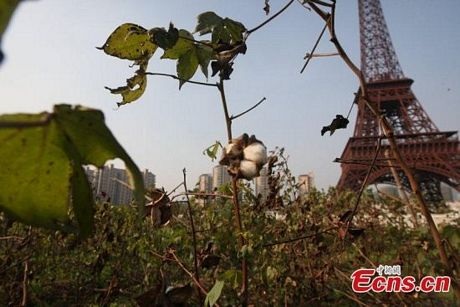 Một người nông dân đi tưới rau gần công trình nhái Tháp Eiffel ở ngoại ô Hàng Châu.