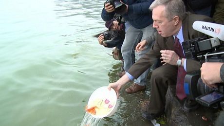 Đại sứ Ted Osius thả cá xuống Hồ Tây. (Ảnh: