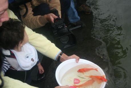 Đại sứ Ted Osius thả cá xuống Hồ Tây. (Ảnh: