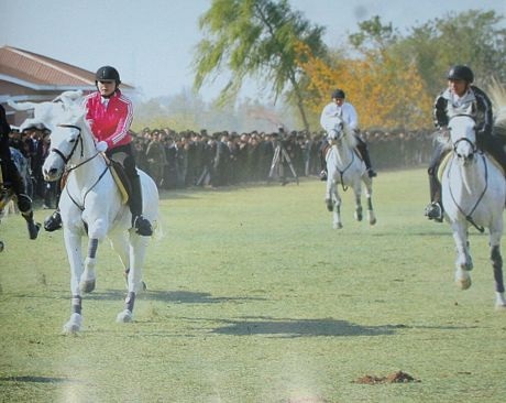 Câu lạc bộ đua ngựa Mirim.