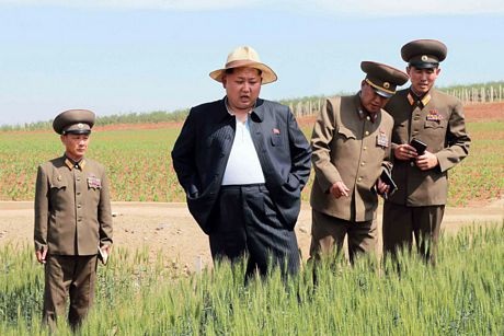 Ông Kim Jong-un tăng cân vì sushi và rượu vang đắt tiền - 1 Ông Kim phanh áo ngoài, để lộ bụng khá lớn, trong chuyến thăm nông trại.