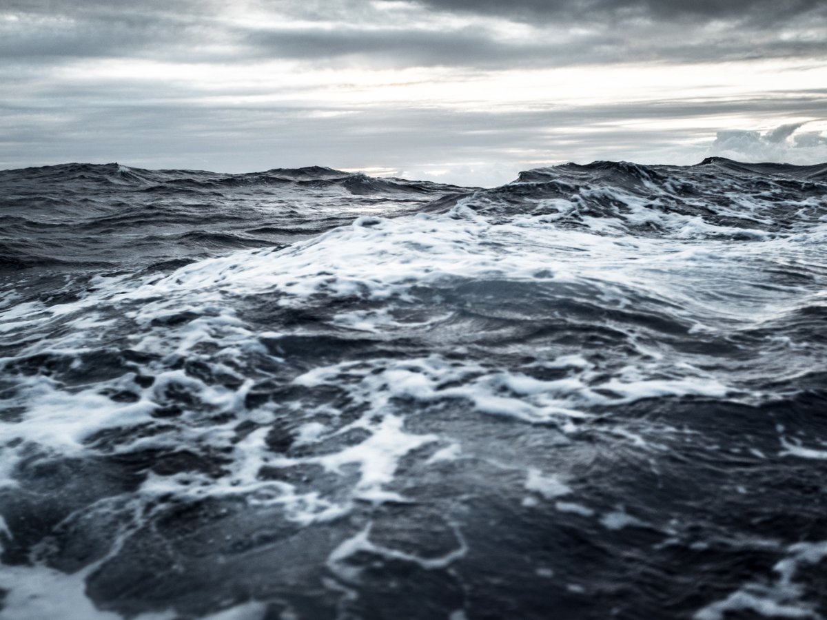 Chính nhờ sự xuất hiện của đại dương, các sinh vật đơn bào đầu tiên xuất hiện và đặt nền móng cho sự sống trên Trái Đất