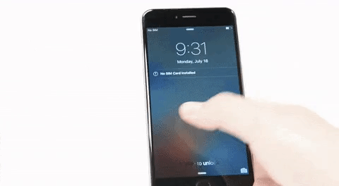 Apple không thừa nhận lỗi thiết kế khiến iPhone 6 và 6 Plus bị liệt cảm ứng - 2 Lỗi liệt cảm ứng đang là cơn ác mộng với nhiều người dùng iPhone 6 và 6 Plus