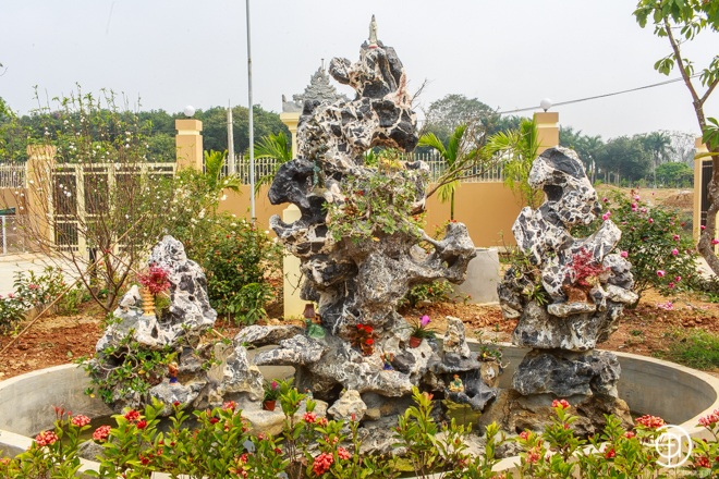 Bao quanh cả 3 khu nhà là những vạt đất được trồng cây xanh cầu kỳ. Toàn bộ cây cối trong vườn nhà đều do vợ chồng Việt Hoàn tự tay trồng và chăm sóc.