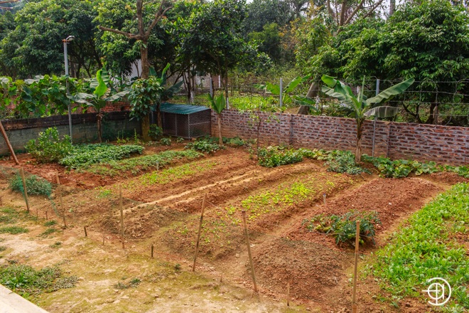 Toàn bộ khu đất phía sau được gia đình trưng dụng thành vườn trồng rau sạch: Ở vườn nhà, chúng tôi trồng đủ các loại rau. Mỗi thứ một ít thôi, đủ cho cả nhà sử dụng để luôn yên tâm rằng mình ăn thực phẩm có nguồn gốc rõ ràng- ca sĩ Việt Hoàn cho biết.