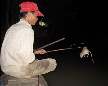 Hiện nay nghề săn chuột đồng mùa lũ được xem là nghề ăn nên làm ra nhất so với các nghề khác.
