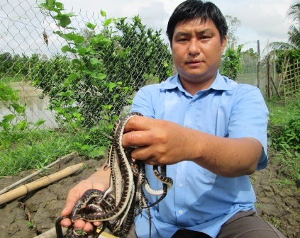 Thất bài từ nghề nuôi thỏ, năm 2009 anh Bằng quyết định chuyển sang nuôi rắn ri voi trong vèo cước