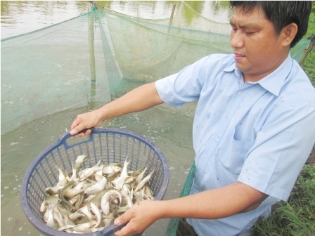 Nuôi rắn, kiếm hàng nghìn "đô" mỗi tháng - 2 Thất bài từ nghề nuôi thỏ, năm 2009 anh Bằng quyết định chuyển sang nuôi rắn ri voi trong vèo cước