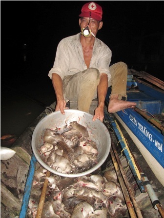 Sống khỏe từ nghề “săn” chuột đồng mùa lũ - 9 Trung bình một đêm săn chuột, anh Sử và những hộ khác kiếm từ 5 -10 kg chuột