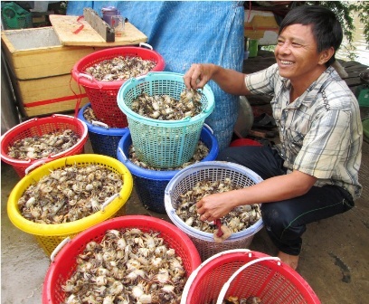 Cận cảnh chợ cua đồng lớn nhất miền Tây - 9 Một số hộ thì mua bán tại chỗ với mức giá từ 20.000 - 30.000 đồng/kg