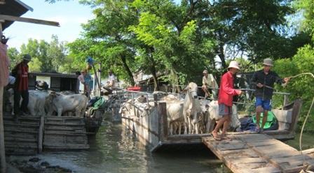 Chợ bò Tà Ngáo thuộc 