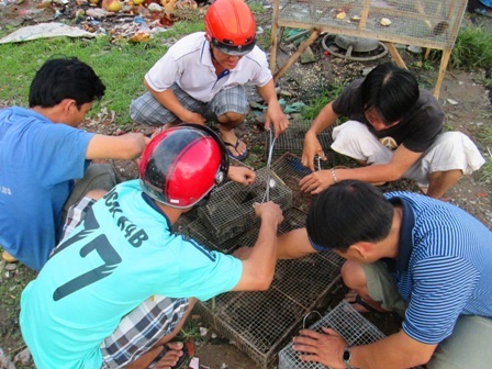 Rùng mình theo chân thợ “săn” rắn độc miền Tây