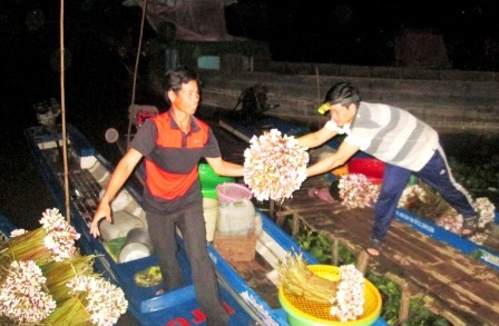 Dân nghèo mưu sinh mùa lũ - 11 Năm nay lũn hỏ, cọng bông súng cũng không được dài và tươi tốt như mọi năm