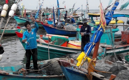 Đi chợ hải sản "giá rẻ bất ngờ" ở đảo ngọc Phú Quốc - 2 Các tàu cá đánh bắt nhỏ thường vào sông Dương Đông để bán các loại hải sản đánh bắt được