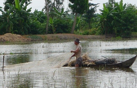 Dân nghèo mưu sinh mùa lũ - 1 Mùa lũ năm nay nhỏ, mực nước chỉ cao hơn đầu gối người, làm nguồn lợi thủy sản giảm đáng kể