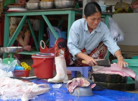 Đi chợ hải sản "giá rẻ bất ngờ" ở đảo ngọc Phú Quốc - 8 Cá cơm