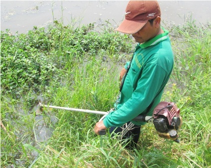 Chứng kiến một buổi săn chuột đồng bằng... máy cắt cỏ - 1 Anh Sơn đặt đầu hút nước xuống bờ ruộng